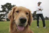 
 Jeff Steve takes his dog Charlotte on her daily romp to the Cemetary Memorial Park on Wednesday in Ventura. Steve, who visited the park since 1991 feels strongly about the recent move by families of those buried at the park to have the city rule to turn the park into a memorial, saying,”its a shame the way things are. We love the park the way it is.”