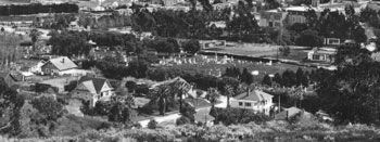 Arial of park in black and white