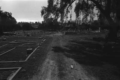 Cemetery 1964